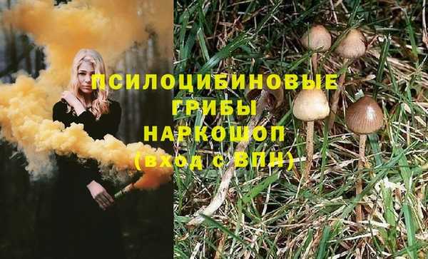крисы Абдулино