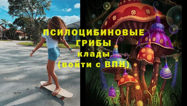 крисы Абдулино